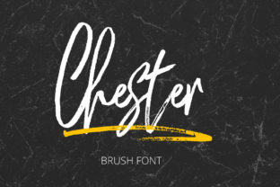 Chester Font: A Marketer’s Secret Weapon for Stronger Campaigns