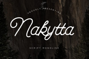 Nakytta: A Beautiful Script Font for Web Design